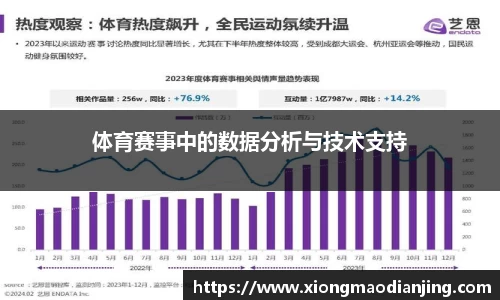 体育赛事中的数据分析与技术支持