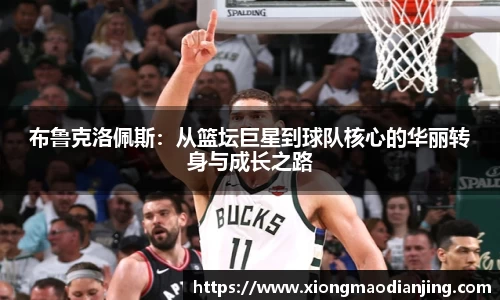 布鲁克洛佩斯：从篮坛巨星到球队核心的华丽转身与成长之路